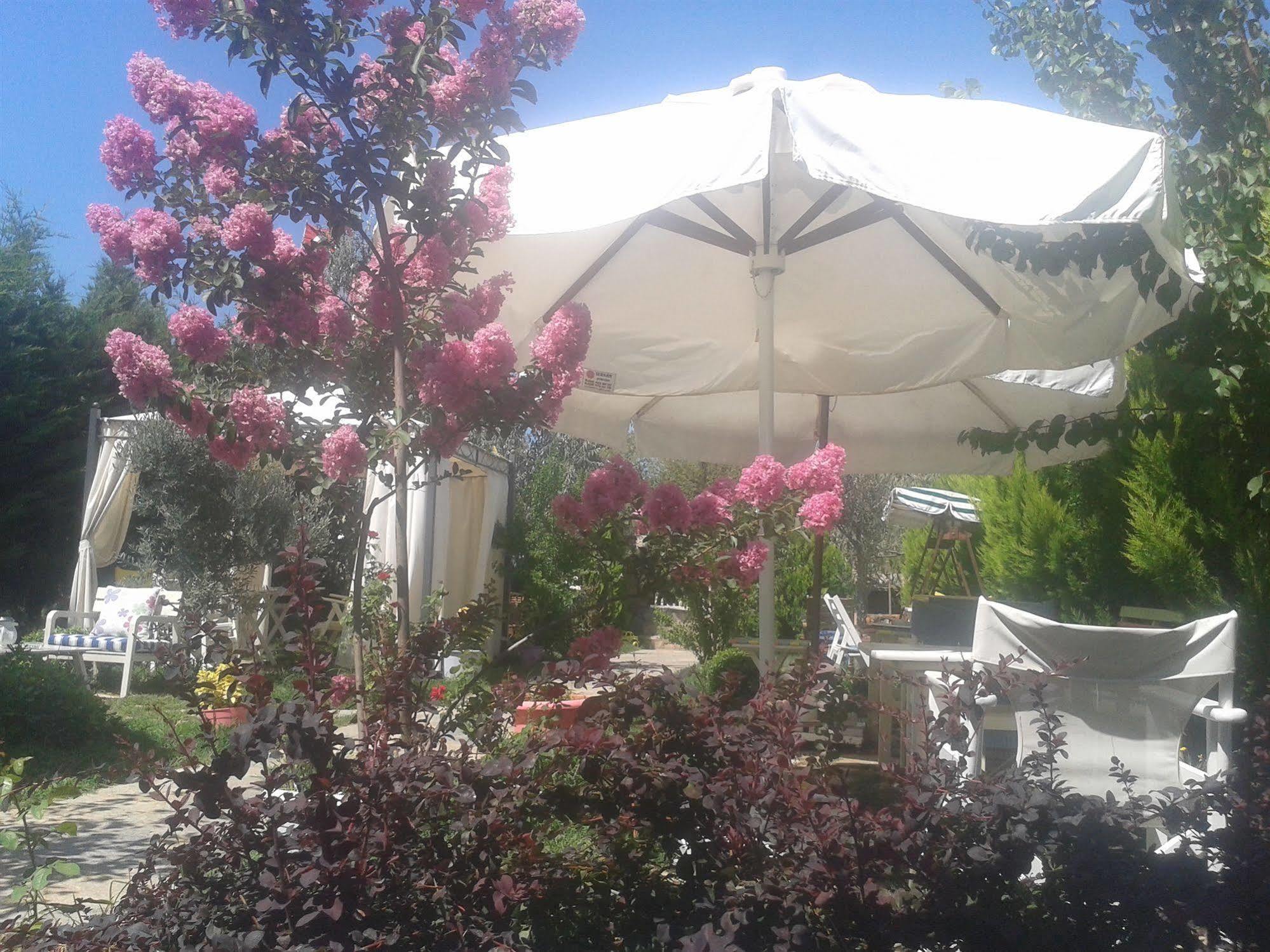 Ege Han Hotel Tenedos Buitenkant foto
